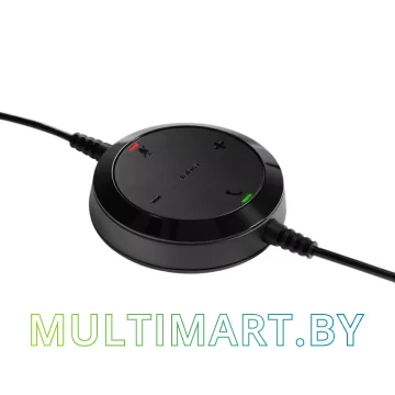 Офисная гарнитура Jabra Evolve 20 MS Stereo картинка 6